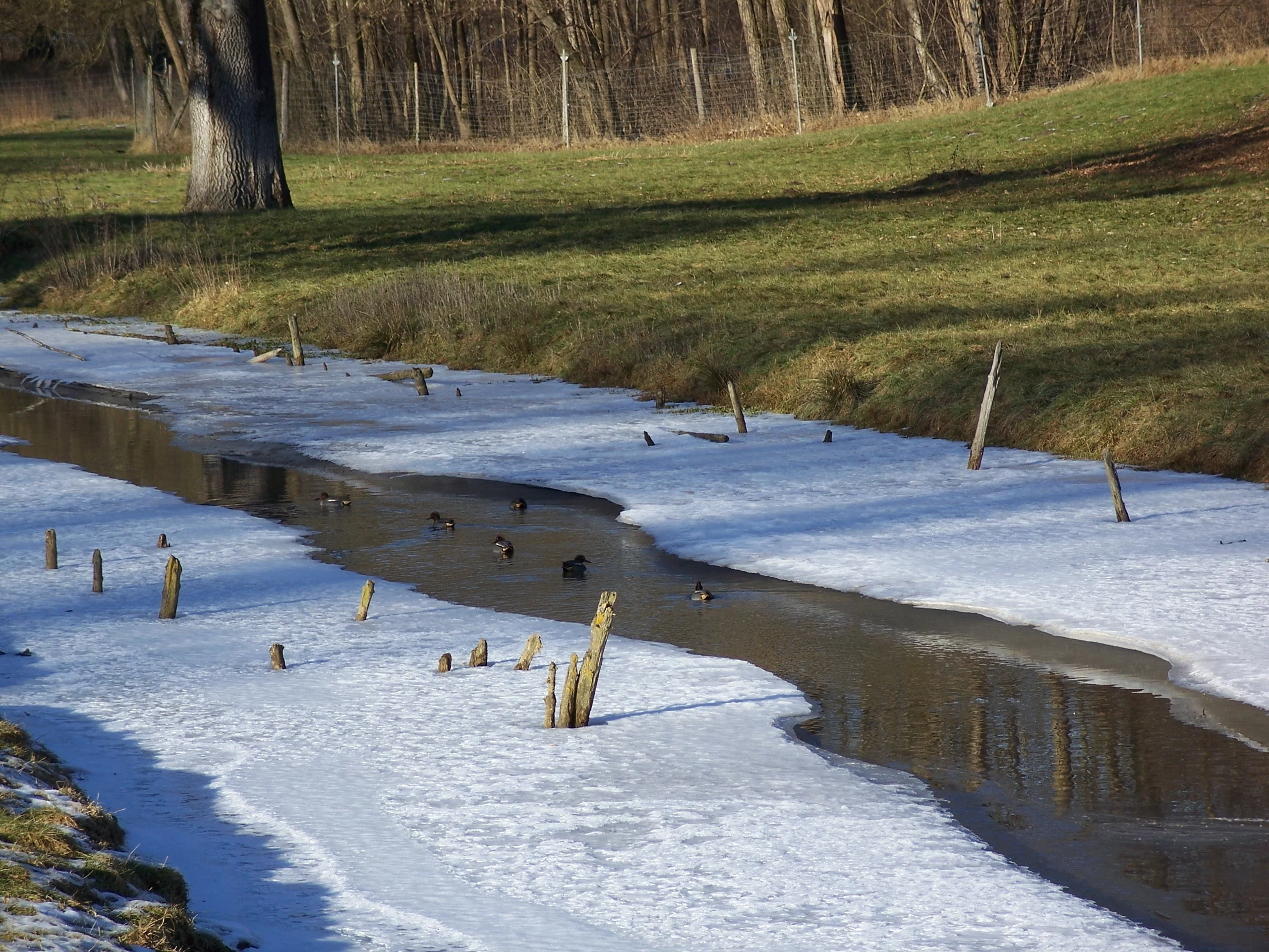 Schlossweiher Egglkofen Schlossweiher Egglkofen